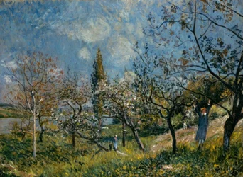 Orchard in Spring